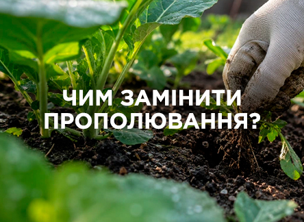 Чим замінити прополювання? Чим замінити прополювання?