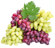 Насіння винограду