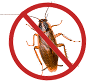 Средства защиты растений от тараканов