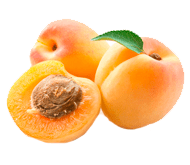 Саженцы ранних сортов абрикоса
