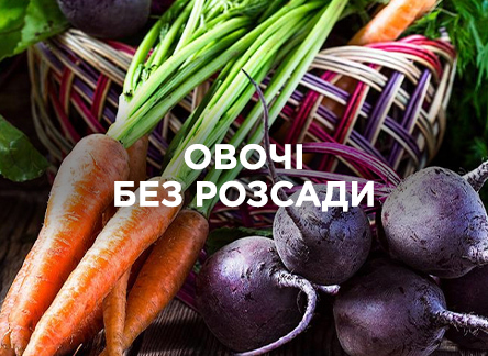 Овощи без рассады: какие культуры подойдут? Овощи без рассады: какие культуры подойдут?
