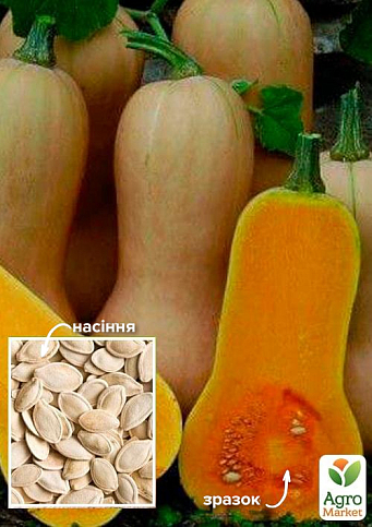 Тыква "Арахисовое масло" ТМ "Весна" 500г - фото 2