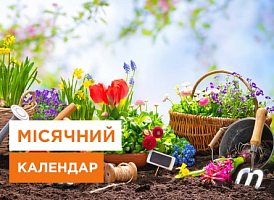 Місячний посівний календар на квітень 2024 - корисні статті про садівництво від Agro-Market