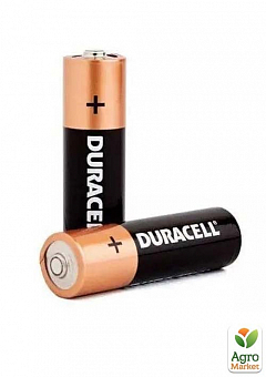Батарейка Duracell Simply AA (LR06) 1,5V щелочная пальчиковая (2 шт)1