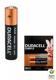 Батарейка Duracell Simply AAA (LR03) 1,5V щелочная минипальчиковая (мизинчиковая) (2 шт)2
