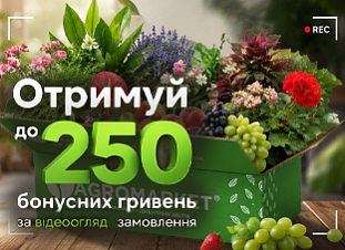 До 250 бонусних грн за відеоогляд замовлення До 250 бонусних грн за відеоогляд замовлення