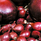 Голландский лук-севок 0.5кг (арбажейка) средний, красный  "Red Karmen"