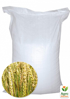 Пшениця озима "Покровська" ТМ "Весна" 10 кг2