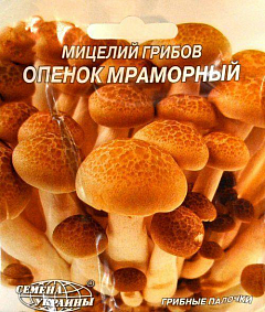 Опенок Мраморный ТМ "Семена Украины" 10шт1