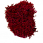 Стабилизированный мох Ягель "Бордовый" 500 г