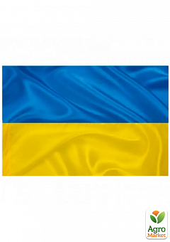 Флаг Украины  большого размера 140 см* 90 см2