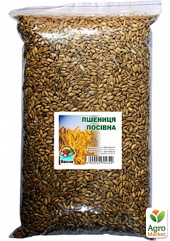 Пшениця посівна ТМ "Весна" 1кг1