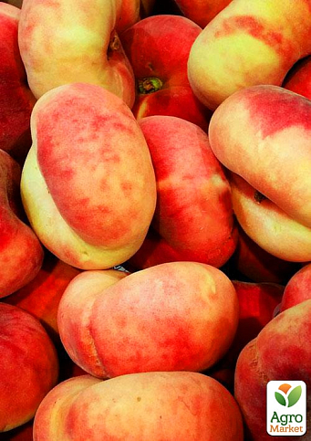 Инжирный персик "Бельмондо" (летний сорт, средний срок созревания)