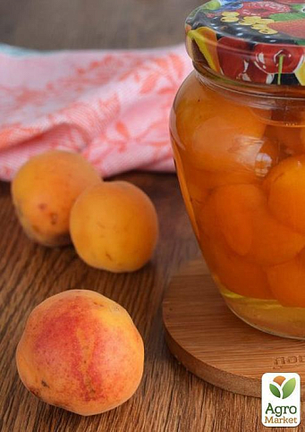 Абрикос "Робада" (літній сорт, ранній термін дозрівання) - фото 5