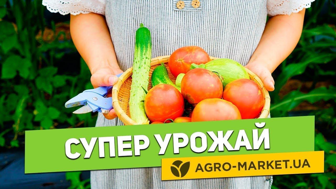 Комплект овощей в зипере "Завидный огород" 25уп