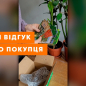 Огірок "Біляївський" ТМ "Весна" 0.5г