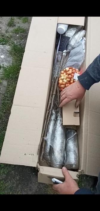 Тамарикс ветвистый "Pink Cascade"  - фото 6