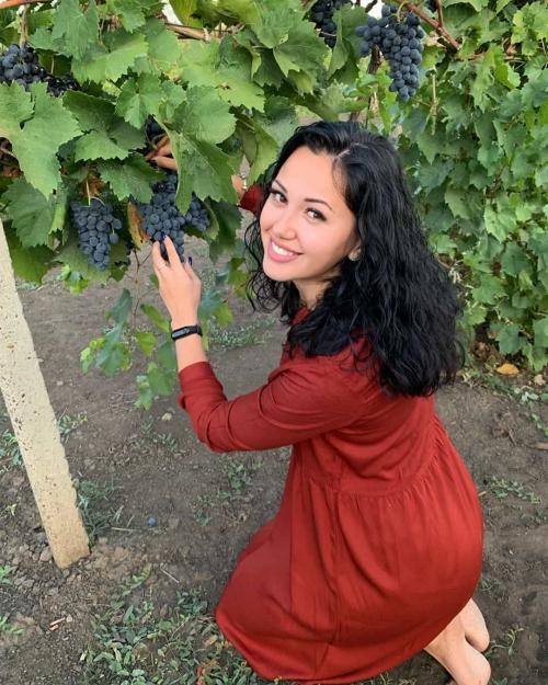 Виноград "Молдова" (поздний срок созревания, хорошо хранится до 180 дней и транспортируется) - фото 9