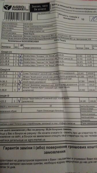 Яблоня "Джонатан" (зимний сорт, поздний срок созревания) - фото 8