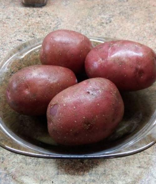 Картопля "Фламенко" насіннєва пізня (1 репродукція) 1 кг - фото 4