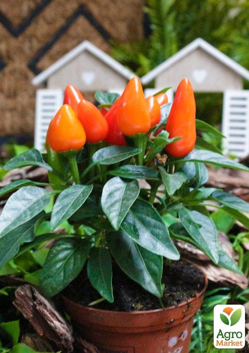 Капсикум Сальса "Red" - фото 3