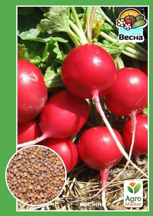 Редис "Сакса" ТМ "Весна" 2г