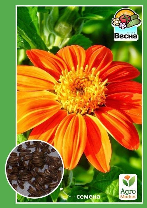 Тітонія ТМ "Весна" 0.2г