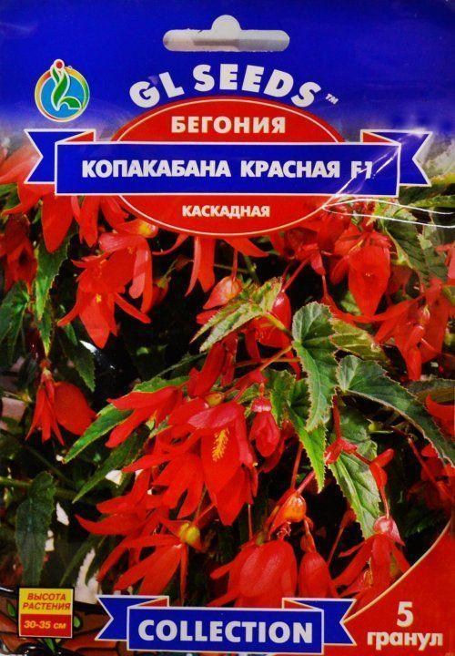 Бегонія каскадна "Копакабана червона F1" ТМ "GL SEEDS" 5шт