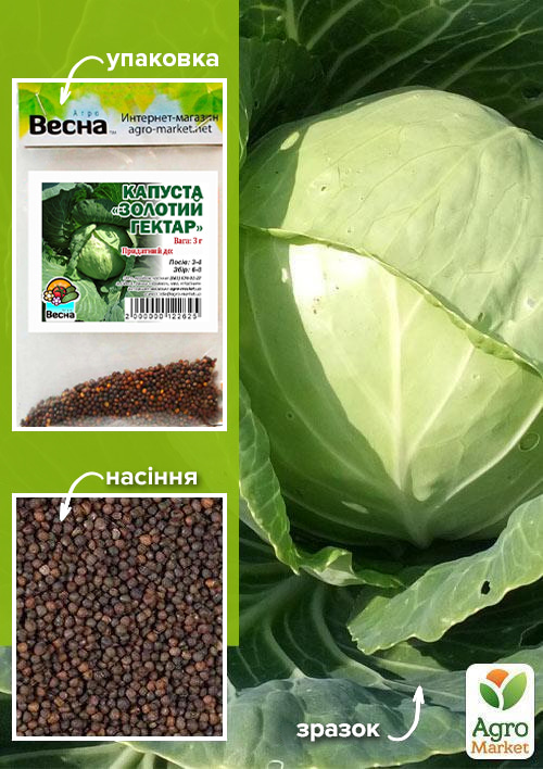 Капуста "Золотий Гектар" (Зипер) ТМ "Весна" 3г