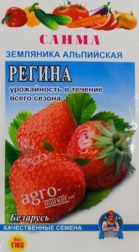 Суниця "Регіна" ТМ "САНМА" 50-60шт