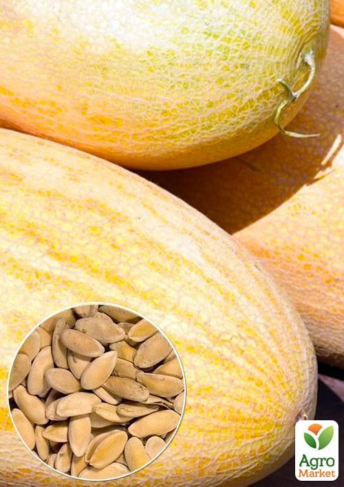 На вагу Диня "Золоте літо" ТМ "Весна" ціна за 6г