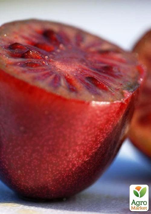 Актинідія "Кінс Ред" (міні-ківі, морозостійкий сорт) - фото 7