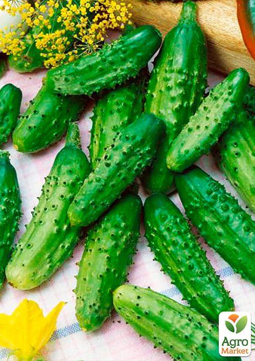 На вагу Огірок "Паризький корнішон" ТМ "Весна" ціна за 5г - фото 2