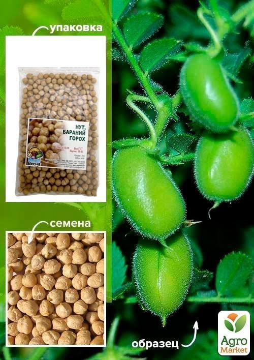 Нут ТМ "Весна" 100г