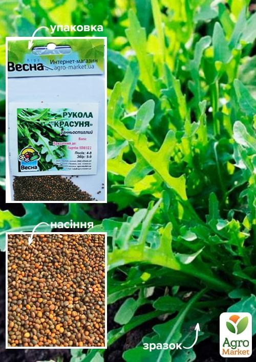 Руккола "Красотка" (Зипер) ТМ "Весна" 3г