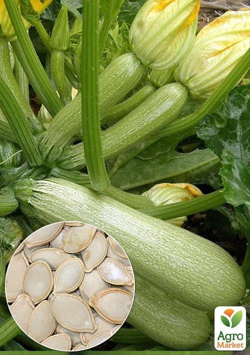 На развес Кабачок "Бьянка" ТМ "Весна" цена за 8г