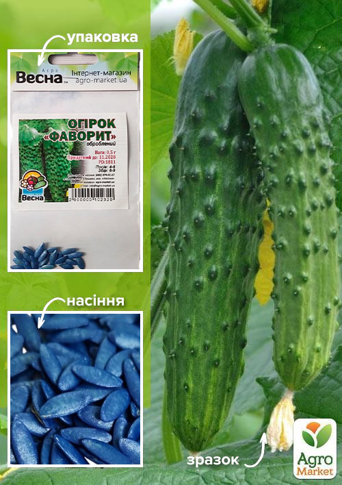 Огірок оброблений "Фаворит" (Зипер) ТМ "Весна" 0,5г