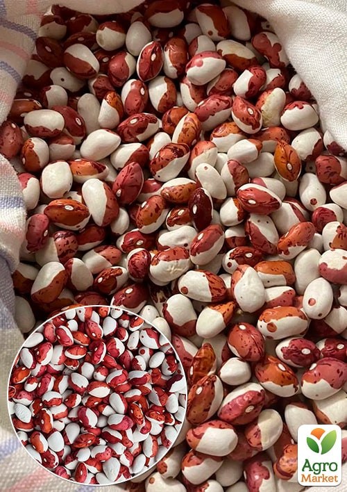 На развес Фасоль "Попугай" ТМ "Весна" цена за 20г