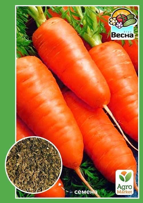 Морква "Дитячий сніданок" (Новий пакет) ТМ "Весна" 2г