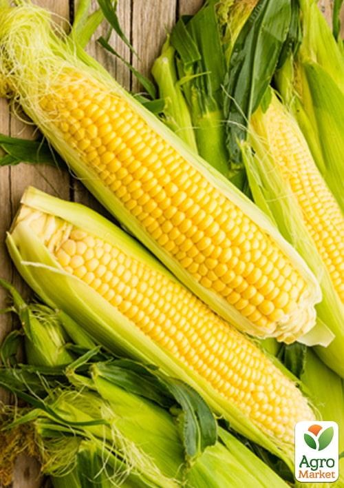 Кукурудза "Ароматна" (у банці) ТМ "Весна" 100г