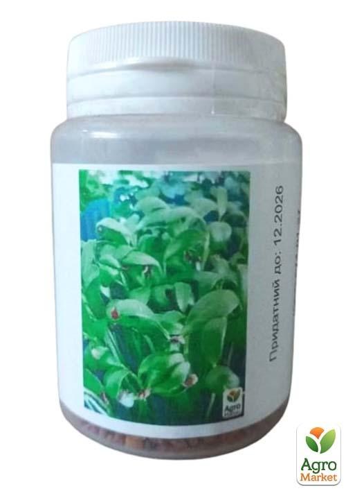 Микрозелень "Грибная трава" (в банке) ТМ "Твоя Зеленая Весна" 7г - фото 2