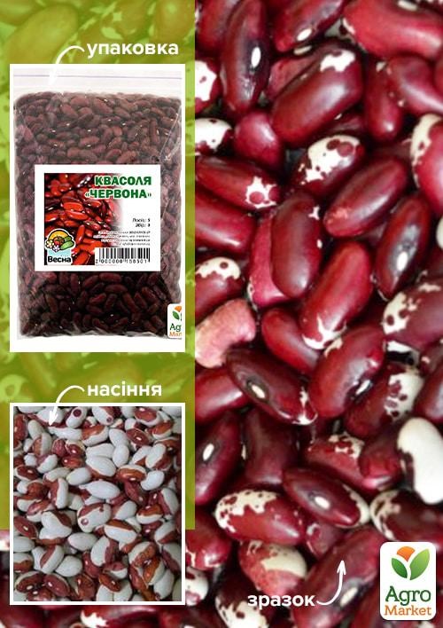 Фасоль "Красная" ТМ "Весна" 500г