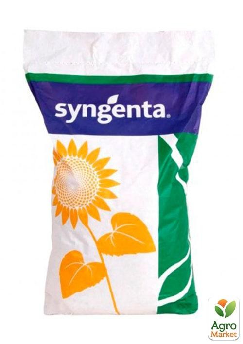 Соняшник "НК Бріо Круїзер" ТМ "Syngenta" 150000шт