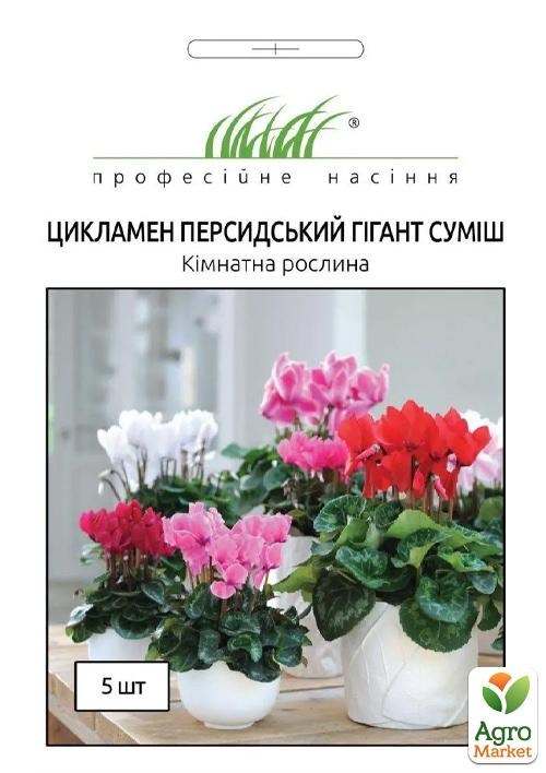 Цикламен персидский гигант смесь ТМ "HEM Zaden" 5шт