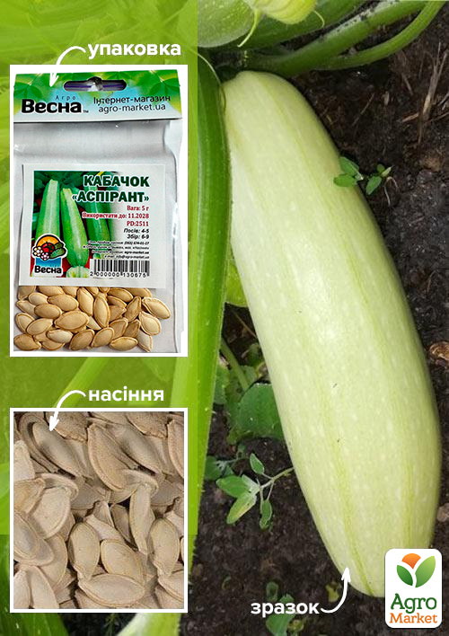 Кабачок "Аспірант" (Зипер) ТМ "Весна" 5г