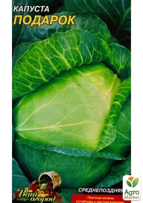 Капуста середньопізні "Подарунок" ТМ "Весна" 0.5г - фото 2