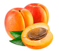 Саженцы поздних сортов абрикоса