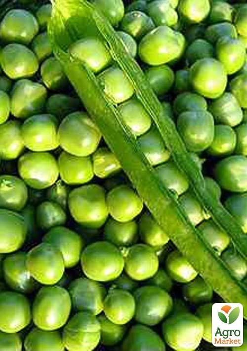 Горох "Самервуд" (в банке) ТМ "Весна Органик" 30г