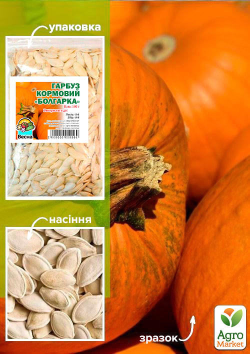 Гарбуз кормовий "Болгарка" ТМ "Весна" 100г
