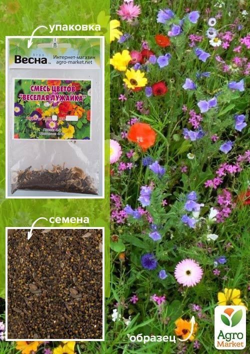 Смесь цветов "Веселая лужайка" (Зипер) ТМ "Весна" 10г